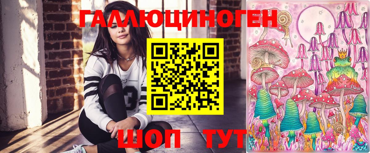 Псилоцибиновые грибы Psilocybine cubensis Щёлково