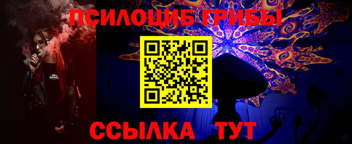 Щёлково  Псилоцибиновые грибы мухоморы  Вход с VPN 